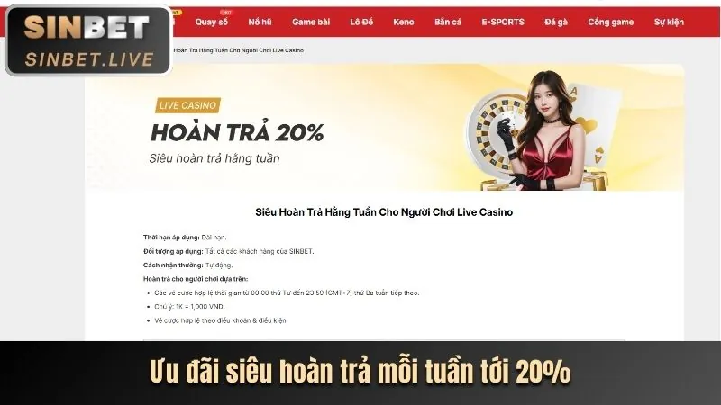 Hiểu sâu hơn về trang web chính thức 5nem